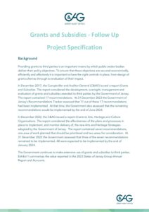 Project Specification - Grants and Subsidies - Follow Up - 24.06.2024
